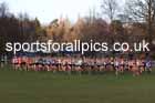 Senior womens 2025 Northern Cross Country Champs, Tatton Park, Knutsford, Cheshire. Photo: David T. Hewitson/Sports for All Pics